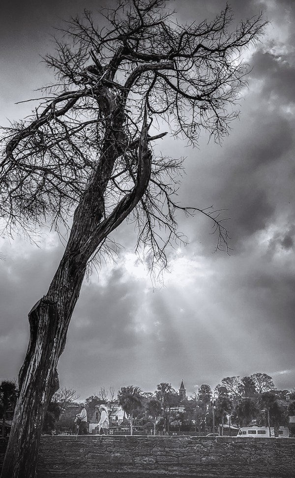 Land 19 by SonicSkylineMedia